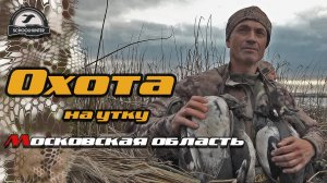 Удачная охота на утку. Охота в Московской области 2020