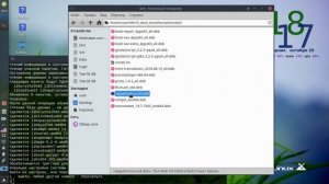 100 Пакет настройки для MX-19.