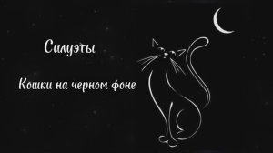 🐈⚫ Кошки на чёрном фоне