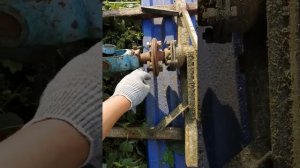 Т-25 и самодельная ботва косилка на цепях(ищем картофель в джунглях)