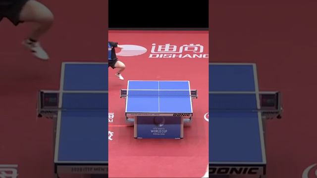 FanZhendong is so amazing