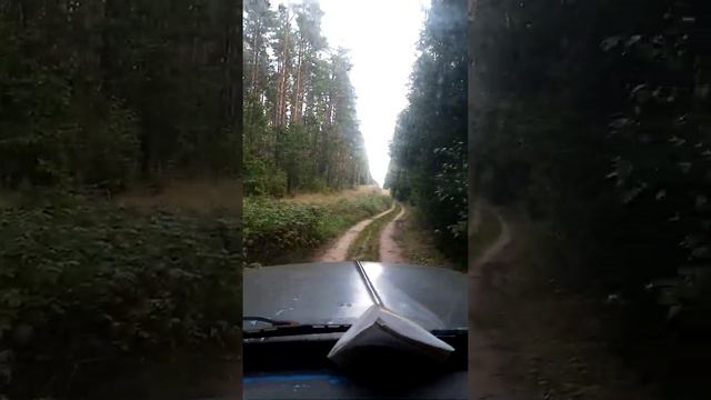 газ 53 с карбюратором к 126и едет в крутую горку. смотреть онлайн