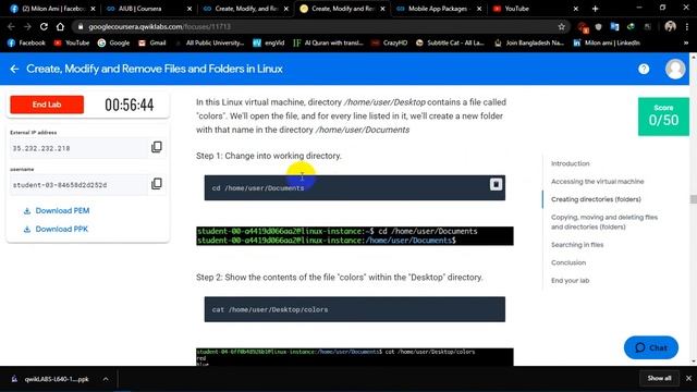 Create, Modify and Remove Files and Folders in Linux II Week 1 II Coursera смотреть онлайн