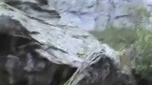 Норвегия. Ледник Бриксдальсбреен (Briksdalsbreen)... Почти уже дошли до него... 17.08.2009, 18:18