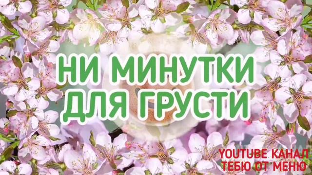 Чудесного Утречка 🌹 🌞 Мира Вам! С Добрым Утречком Хорошего Дня Открытки