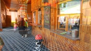 Санки в Вене или Летняя саночная трасса в Вене. Родельбан в Вене Австрия, единственная трасса в Вен