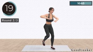 20 MIN STANDING ABS CARDIO Workout ? No Squat & No Repeat & No Jumping