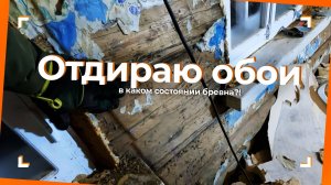 Разобрал одну стену. Состояние бревен 100 летнего дома