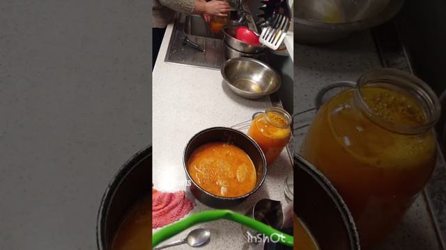 семена облепихи из замороженной ягоды смотреть онлайн