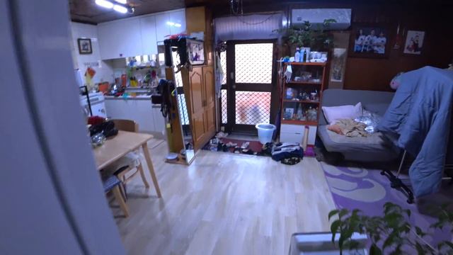 Готовим по русски в Корее/Откуда у нас Макс?/KOREA home VLOG
