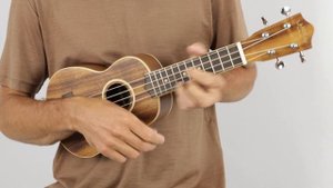 Lanikai ACST-S Acacia Solid Top Soprano Ukulele | The Ukebug