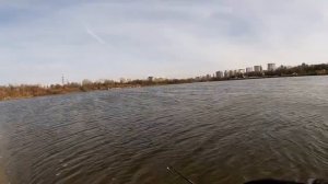 Борисовские Пруды! Ловля в Сильный Ветер! Микроджиг!