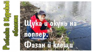 Щука и окунь на поппер.  Фазан и клещи.  Рыбалка на карася с сыном