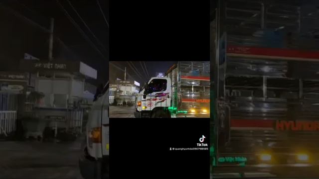 Xe Tải chở Heo Hyundai смотреть онлайн