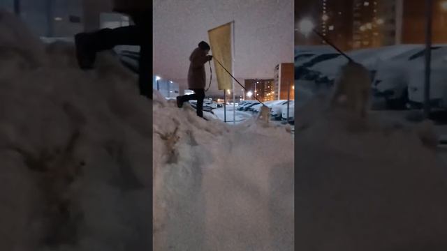 Мы с собакой альпинистки/We are mountain climbers with a dog