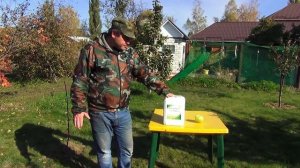 БОРЬБА С ГОРЬКОЙ ЯМЧАТОСТЬЮ ПЛОДОВ