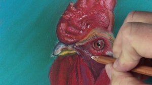 Pastel Lesson - How to Draw a Rooster