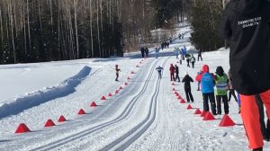 Большунов Александр