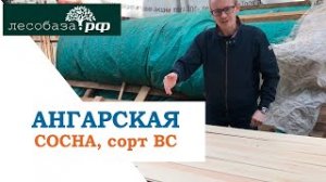 Ангарская сосна, сорт ВС. Вскрываем пачку прямо на складе