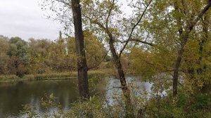 Осенний романс -Саксафон