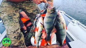 Эта простая СНАСТЬ реально ЛОВИТ. Рыбалка на спиннинг 2022. Болен рыбалкой.