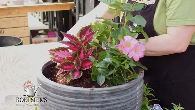 Koetsiers Container How To 4 25 21 смотреть онлайн