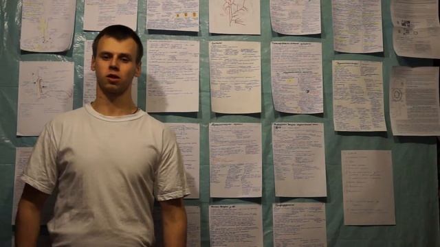 Вегетативные органы покрытосеменных растений. смотреть онлайн