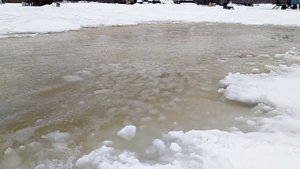Снегоход Тайга Варяг 550v на ВОДЕ