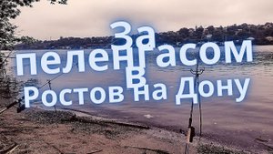 Рыбалка в Ростове-на-Дону. Рыбалка на реке Дон и реке Аксай.