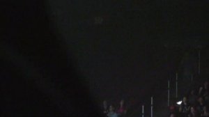 120817 2NE1 - Lonely (more...) -New Evolution Tour NJ