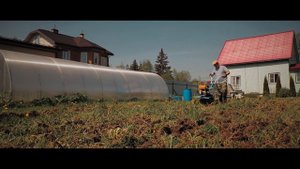 Делаю из огорода газон с помощью мотоблока.