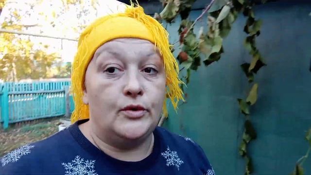 ?Подготовка роз к зимовке.?Второй этап.Каркас для укрытия .? смотреть онлайн