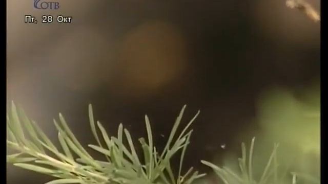 Самые красивые места планеты. Все чудеса Урала ОТВ 2008 Озеро Тургояк и остров Веры смотреть онлайн