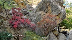 Красота гор. Загадочный Туркменистан