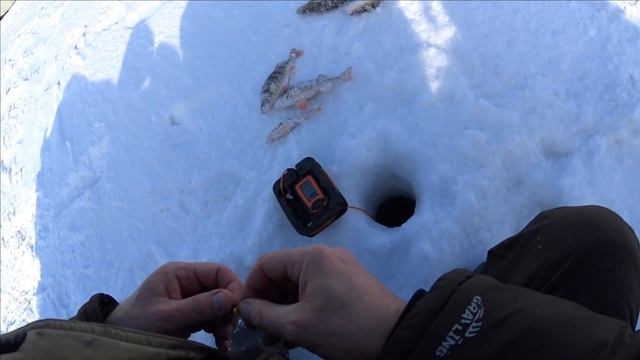 ЭТА ЛУНКА СДЕЛАЛА РЫБАЛКУ /И ПОНЕСЛОСЬ / КРУПНЫЙ ОКУНЬ НА МОРМЫШКУ со ЛЬДА /ПОГОДА СУПЕР / смотреть онлайн