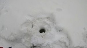 Зимняя активность хариуса в плохую погоду.