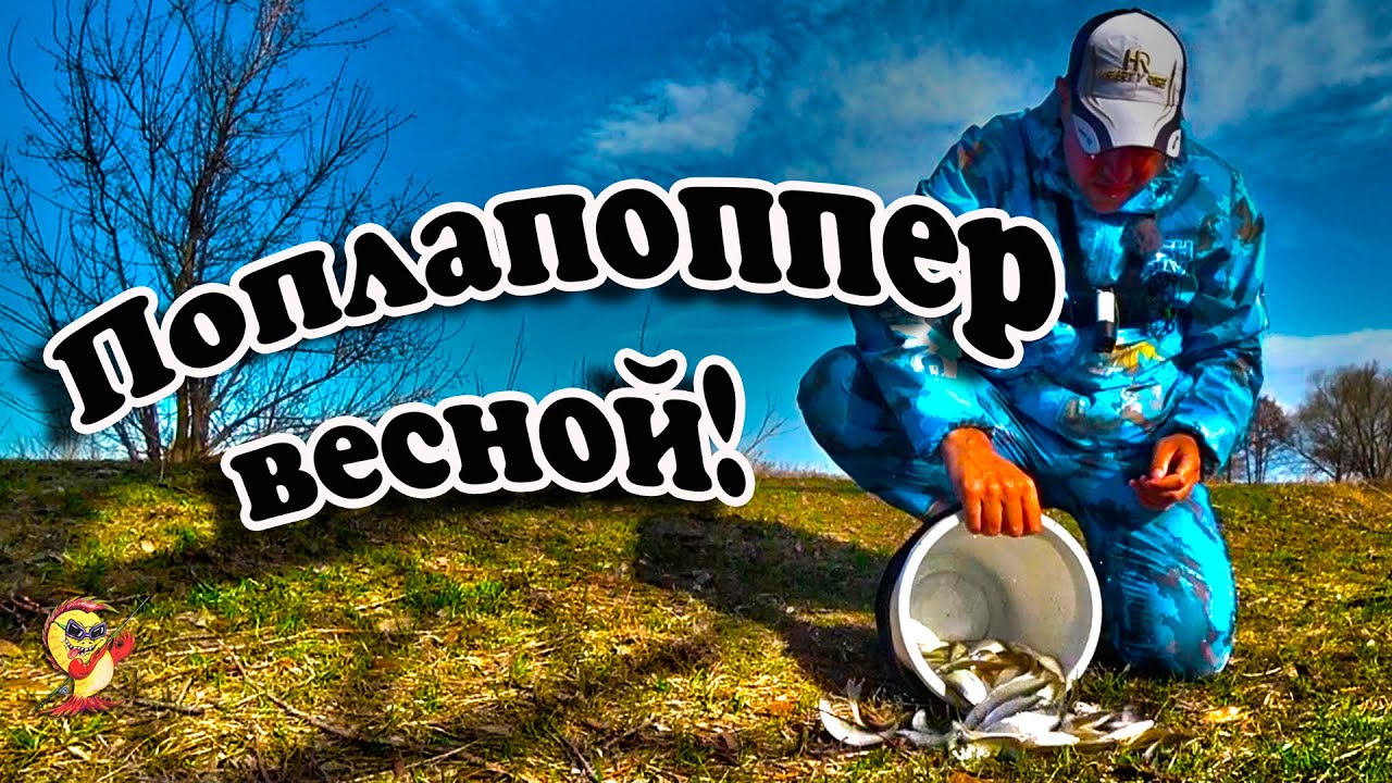 Отличный способ ловли уклейки на поплапоппер!