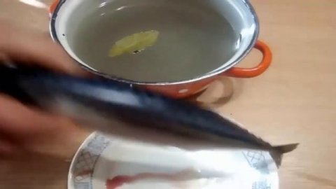Необыкновенно Вкусная СКУМБРИЯ Малосольная! ! САМЫЙ ПРАВИЛЬНЫЙ РЕЦЕПТ! Очень ЛЕГКО И ПРОСТО ?
