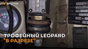 В полевых условиях сложен в ремонте: все, что нужно знать о Leopard 2