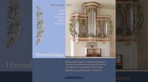 Biblische Sonate No. 3 "Jacobs Heyrath": IV. Den Betrug Labans...