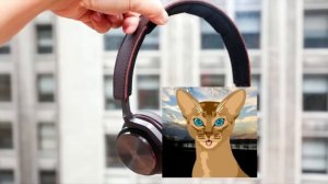 Bang & Olufsen BeoPlay H8 review