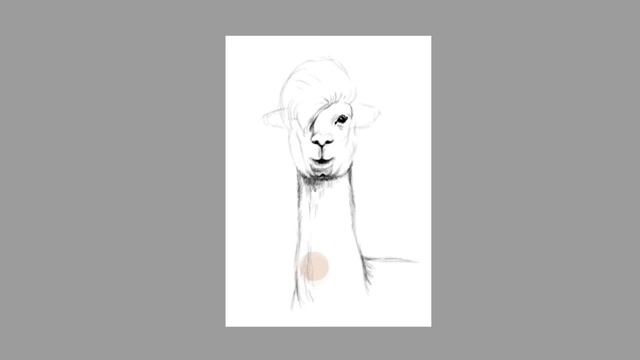 Как нарисовать ламу карандашом для начинающих смотреть онлайн