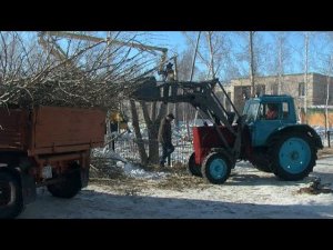 Обрезка старых деревьев в ДС №28