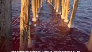 Сакские грязи