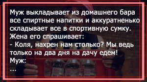 Мужик едет на дачу и забирает весь алкоголь с собой. Смешные анекдоты для отличного настроения.