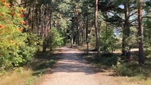ПРИЛИП К НЕЙ И ДОЛГО НЕ МОГ ВЫСУНУТЬ. Истории из жизни. Аудио рассказы, неверная жена