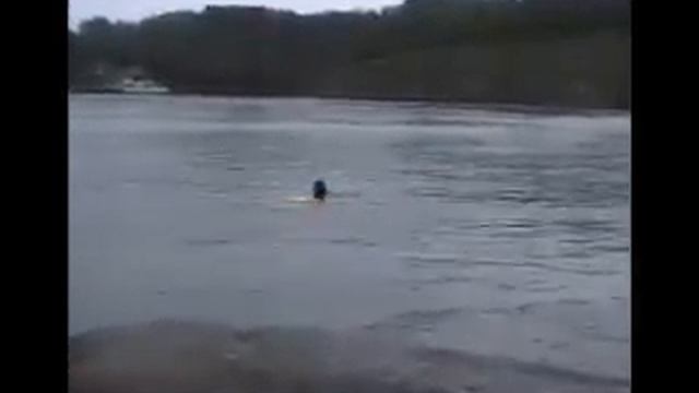 Подводный фонарь MaxLight 7x900 затопление смотреть онлайн