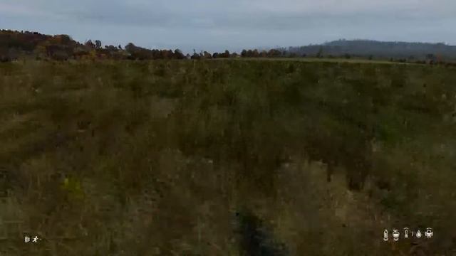 стрим по DAYZ/ps4 переплощение в фури(Я дед инсайд) смотреть онлайн