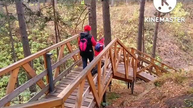 Прогулка по Гремячей гриве.