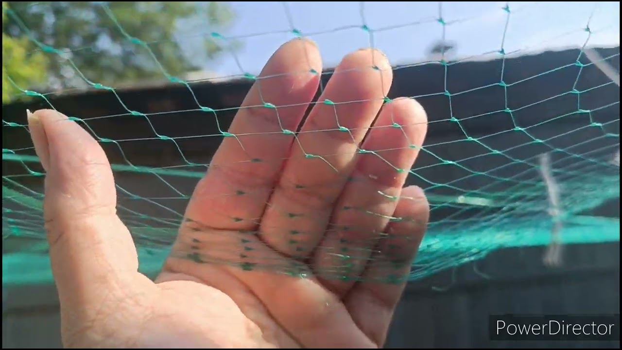 1 июля 2024 г. смотреть онлайн